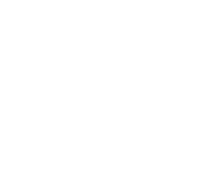 vanilla innovations logo